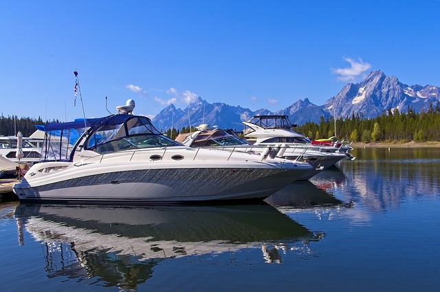 Sleek boats on still blue waters of marina with mountains and evergreens in the background.